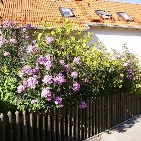 Vila Wiflinger Graben Einfamilienhaus Wörth Exteriér fotografie