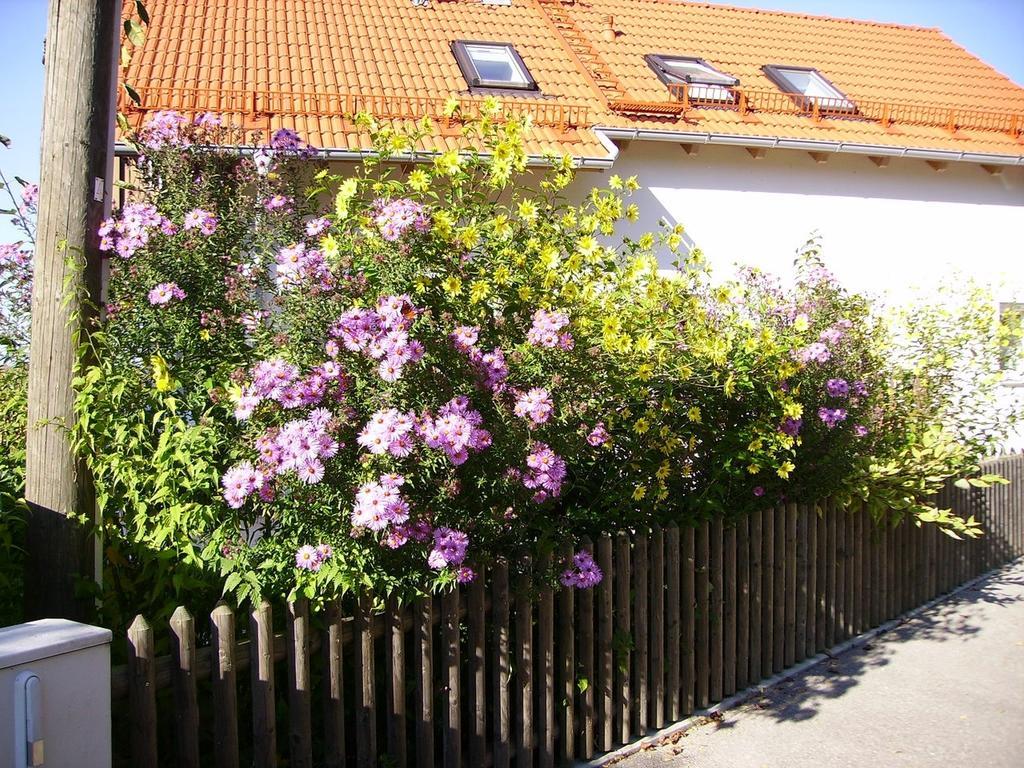 Vila Wiflinger Graben Einfamilienhaus Wörth Exteriér fotografie