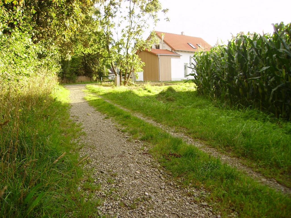 Vila Wiflinger Graben Einfamilienhaus Wörth Exteriér fotografie